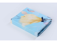 Locket ������������ ����� ������.JPG