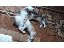 20130307 053856.jpg