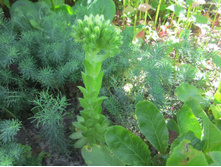 ���� 018.jpg