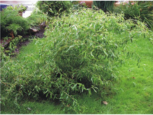 ��� ������������ ���������� l 2-����� 140���..jpg