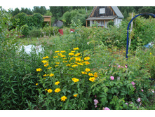 ��������� �������������������