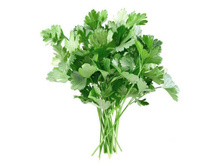 �������� ��������.jpg