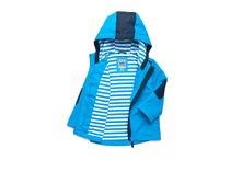 ��. ����. ����