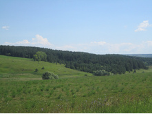 ���� 037.jpg