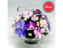 ���������� �� ������� (���. LLO-N) -3413 ���+%.jpeg