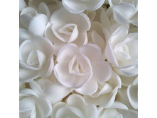 ������ 13*080*RG "����� ����"