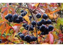 ������������ ������ 3-����� 180���..jpg