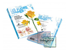 Nabor 3 solnechnyy mak norm.jpg