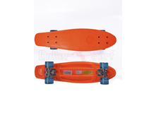 ���� �������� ���������