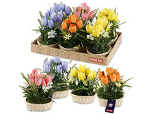 FF 62KIP ������������ ���������� �� ������������� ������184,50 ���..jpeg