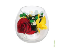 ���������� �� ��� � ������� (���. BmiM-09)- 1019 ��� +%.jpeg