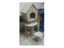 �� 1725 ���. �������� "����������"