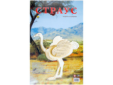 ������ ��� ������ ���������� ������, ������� 157,38.jpg