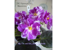 �� ��������� �������