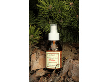 �������� ���� �����.jpg