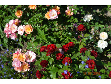 �������� (��������) ������ ����� �������