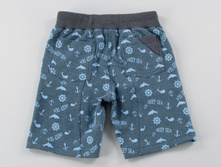 WS17SKB-1-001 tyl.jpg