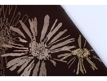 �amomile �����.JPG