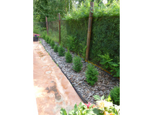 ����� ������ ����� ����� �������� �� �������.