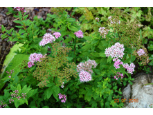 ������ � �������� ��������-100�