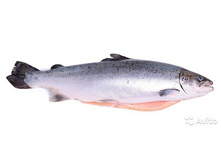 ���� ����������� � �������.jpg