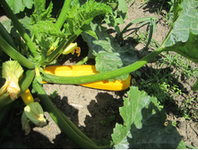 ���� 031.jpg