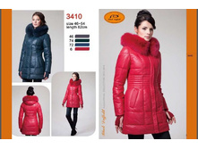 3410 Daffodil ������� ������ ����������� - �������� ����� 82 �� ��� - �����