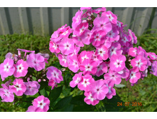 ����� �������� ���� � ������, ���� �� ���������� �������� �����.