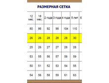 -����� ������ ����.png