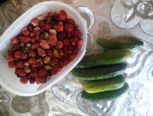 �������� ������)