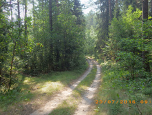 55.JPG