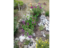 ������ �������, ������ ���������� (������)