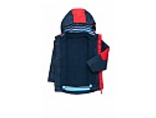 ��. ����. ����