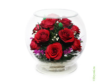 ���������� �� ����������� ��� (MLR1) -4041 ���+%.jpeg