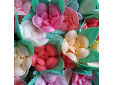 ����� �� ���� 13*045*K "������ � ��������"