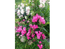 20160703 162306.jpg