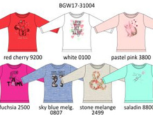 BGW17-31004 �� ���.jpg