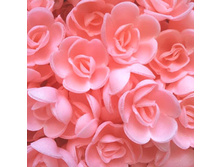 ������ 13*080*RB "����� ����"