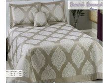 ����������� ��������� NAZSU DANTEL GUNES