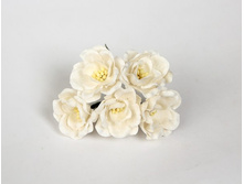 �������� �����, 1��. - 10�.