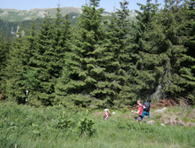 SAM 0872 — �����.JPG