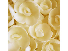 ������ 13*071*RM "������� ����"