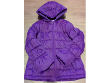 ������ ����