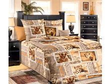 ��� ��������.jpg