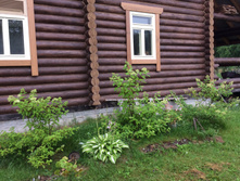 ��� � ����� 2016 ���.