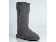 №251 �.36 4753���