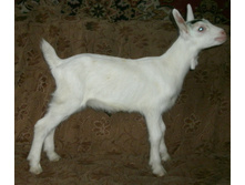 ����� ������. 10 ����