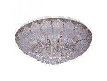 366010224 11000�.jpg