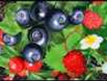 ������ ��� ����� "������ �����" NS*A*H5*0- ������ �����