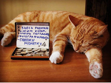 � ����� ������� ����� ... ����� ����� ...